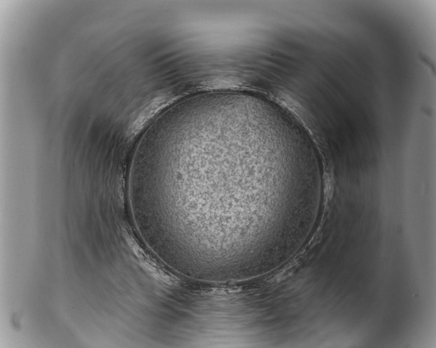 X0000102280345200808011455