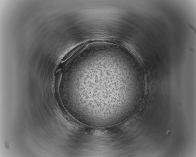 X0000102280346200808011455