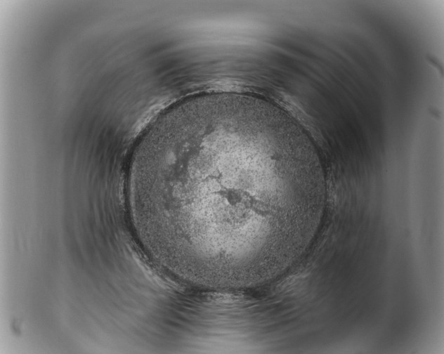 X0000102280347200808011455