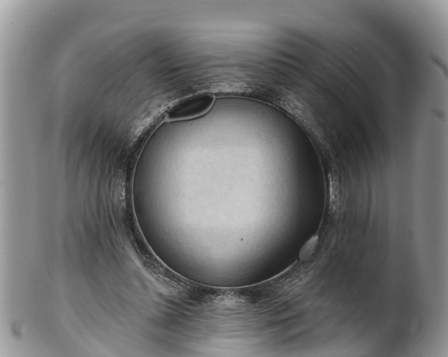 X0000102280348200808011455