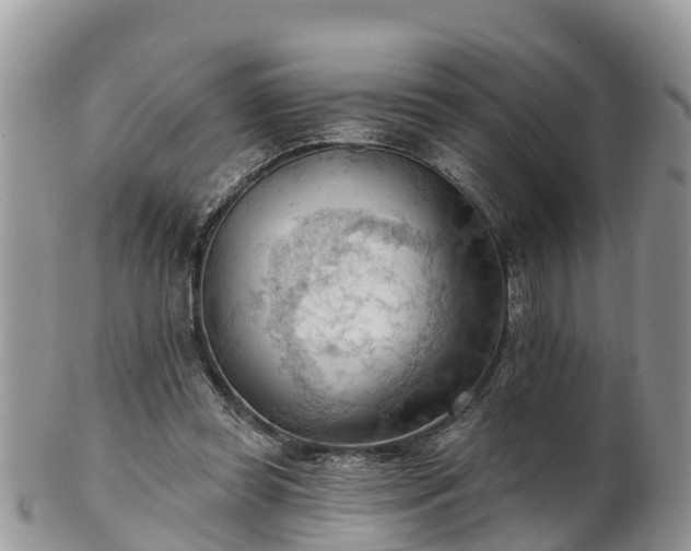 X0000102280349200808011455