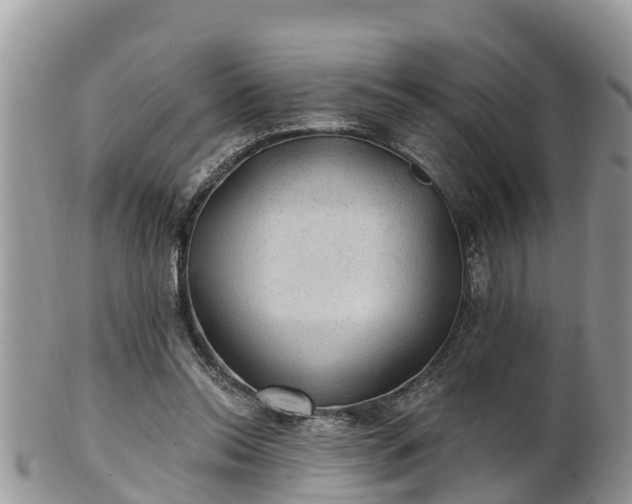 X0000102280350200808011455