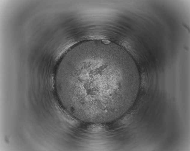 X0000102280351200808011455