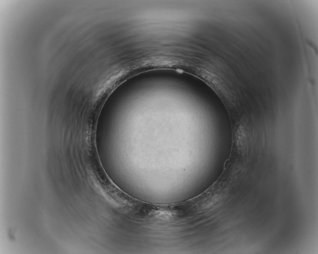 X0000102280352200808011455