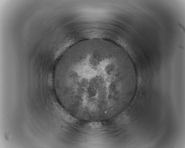 X0000102280353200808011455