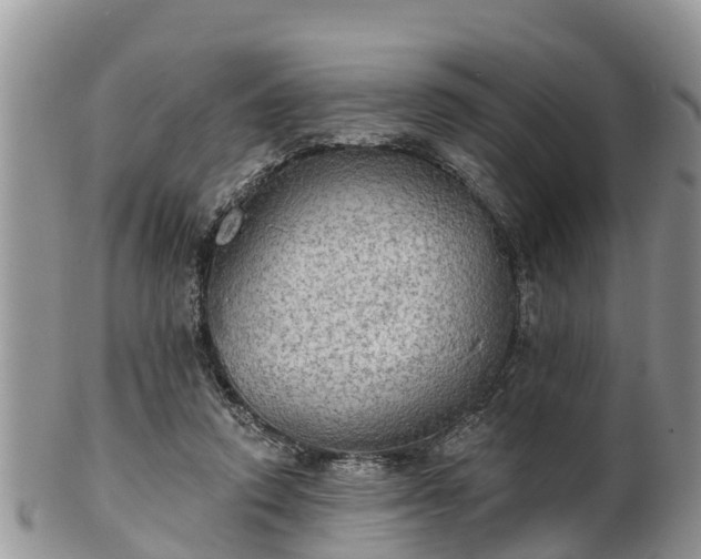 X0000102280354200808011455