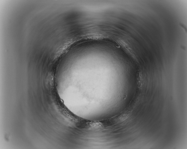 X0000102280355200808011455