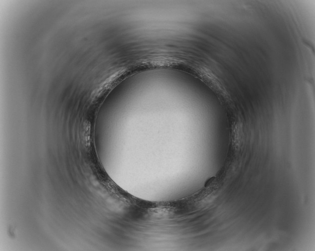 X0000102280356200808011455