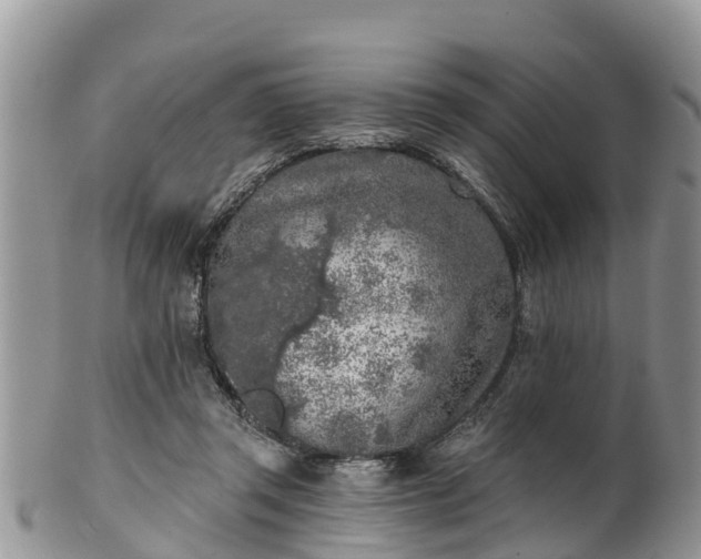 X0000102280357200808011455