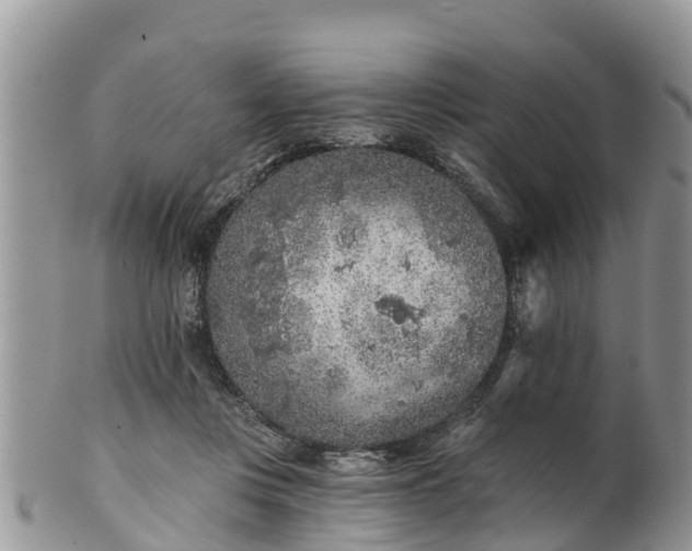 X0000102280359200808011455