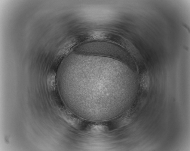 X0000102280360200808011455