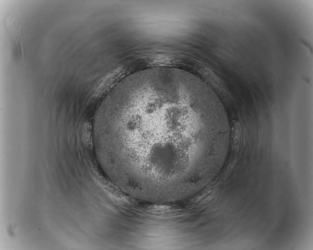 X0000102280361200808011455