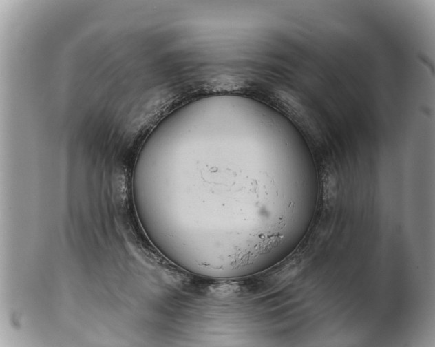 X0000102280362200808011455