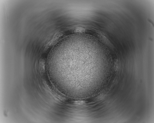 X0000102280363200808011455