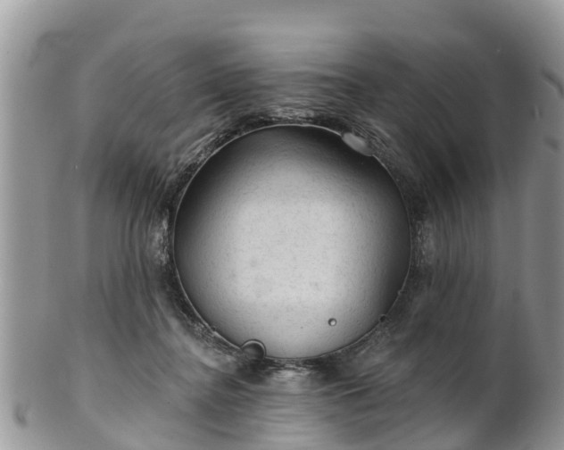 X0000102280364200808011455