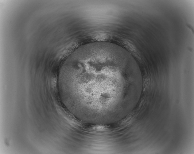 X0000102280365200808011455