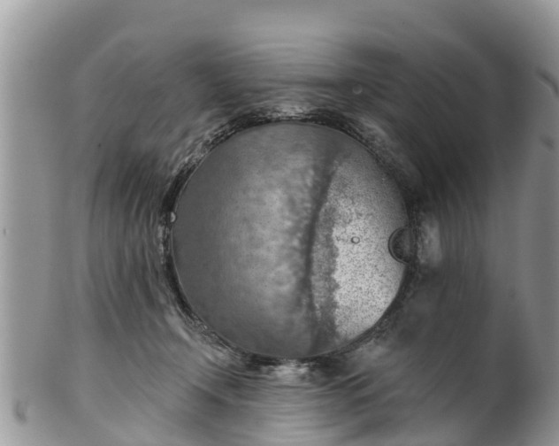 X0000102280366200808011455