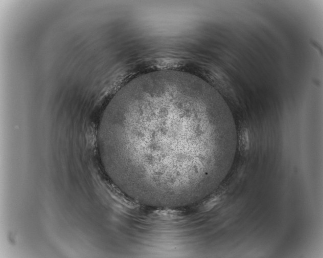 X0000102280367200808011456