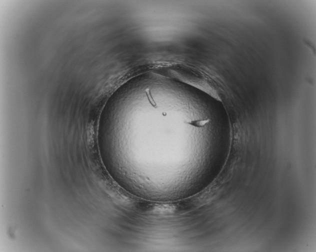 X0000102280369200808011456