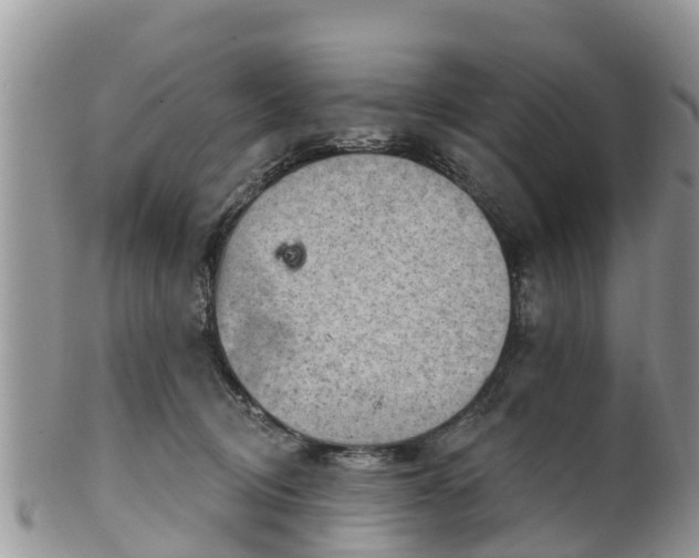 X0000102280370200808011456