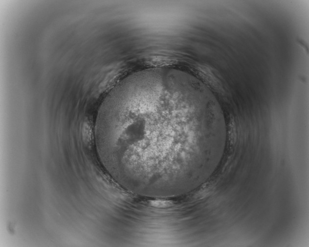 X0000102280371200808011456