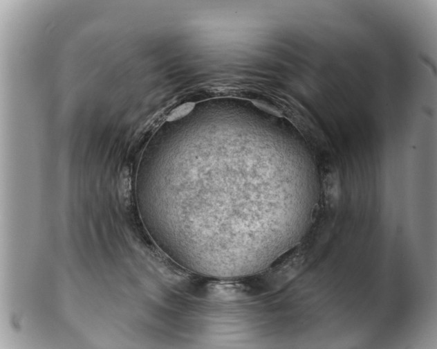 X0000102280372200808011456