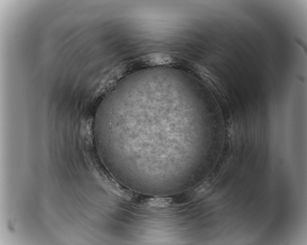 X0000102280373200808011456