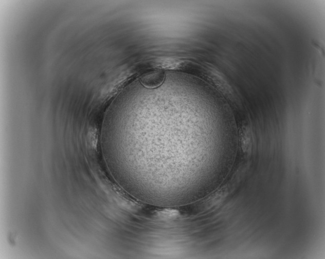 X0000102280374200808011456