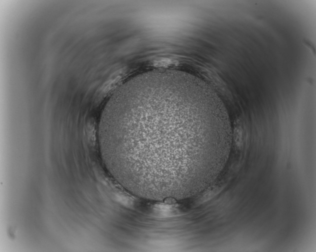 X0000102280375200808011456