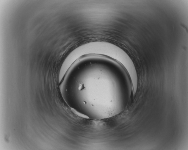 X0000102280376200808011456