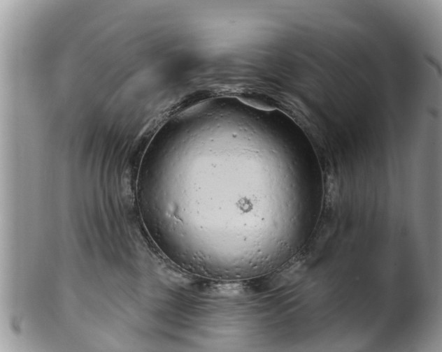 X0000102280377200808011456