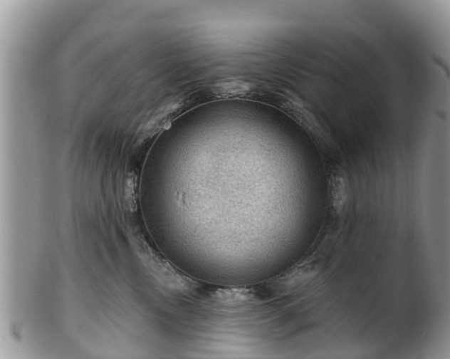 X0000102280378200808011456