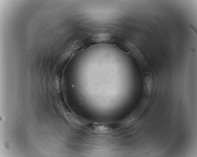 X0000102280380200808011456