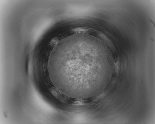 X0000102280381200808011456