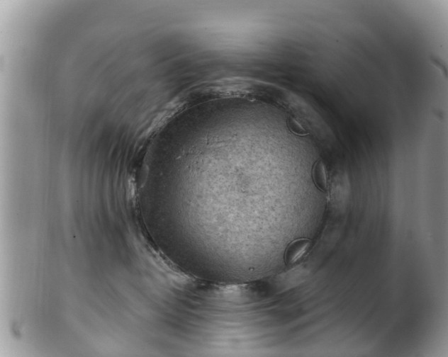 X0000102280382200808011456