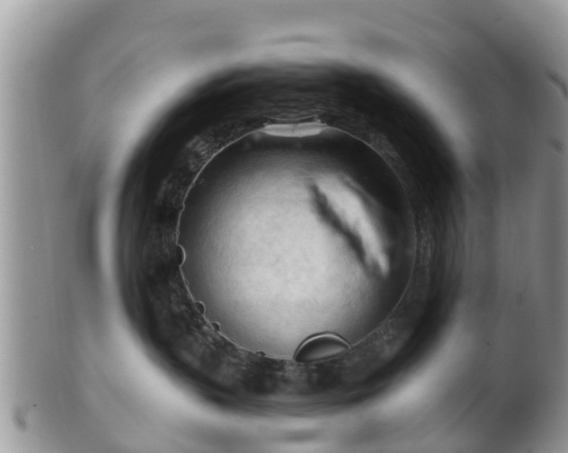 X0000102280383200808011456