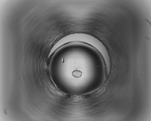 X0000102280384200808011456