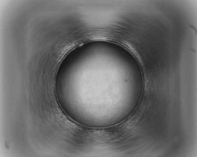 X0000102280385200808011455