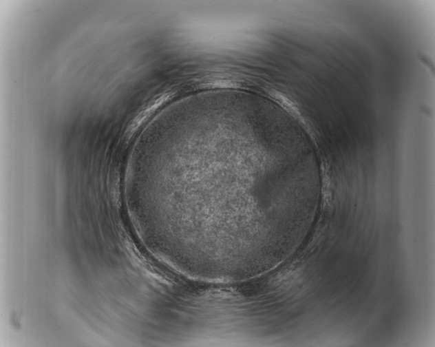 X0000102280386200808011455