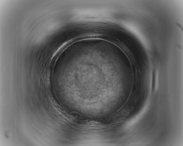 X0000102280387200808011455