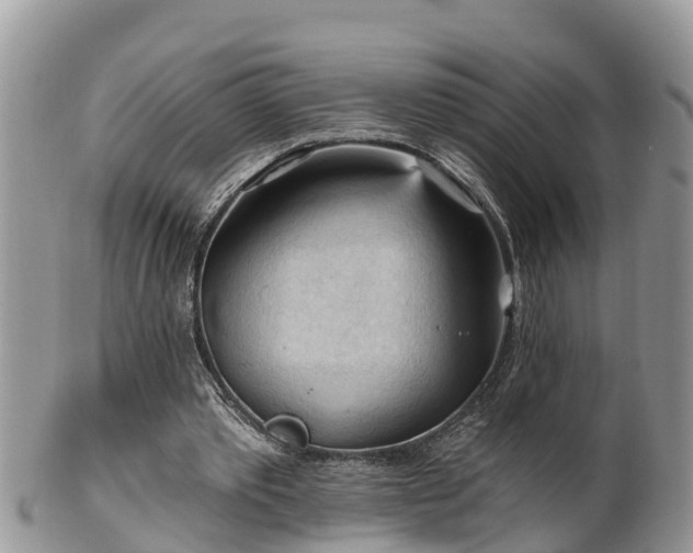 X0000102280389200808011455