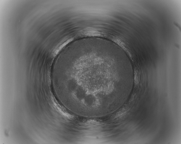 X0000102280390200808011455