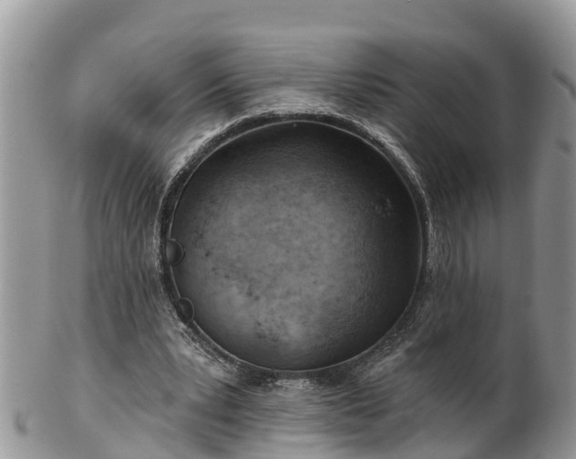 X0000102280391200808011455