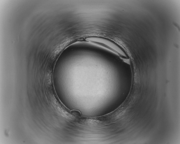 X0000102280393200808011455