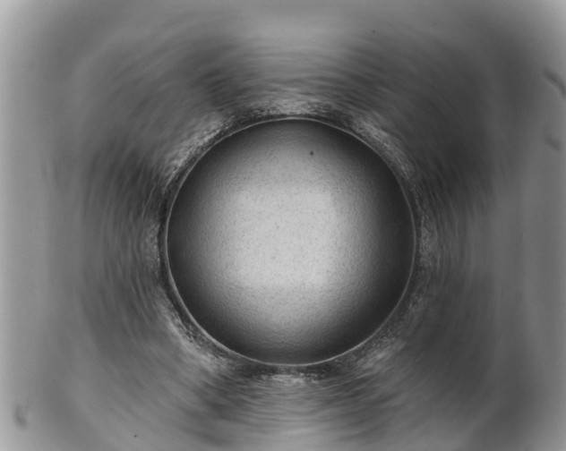 X0000102280394200808011455