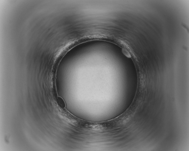 X0000102280395200808011455