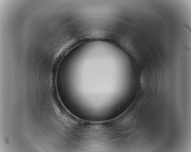 X0000102280396200808011455