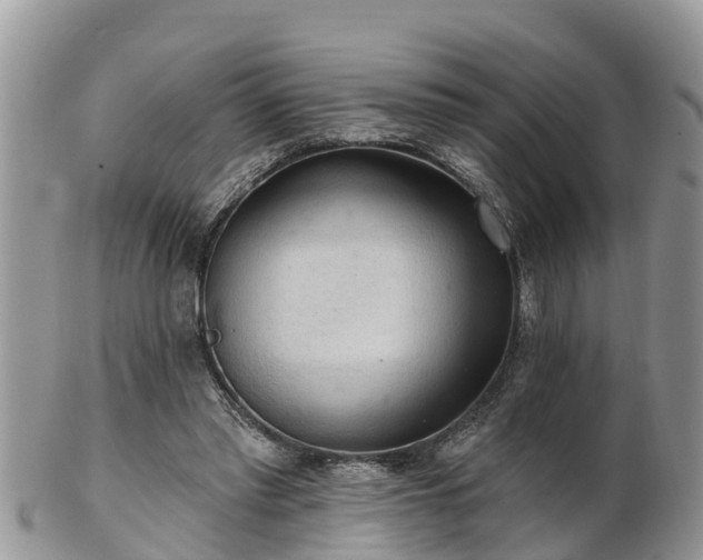 X0000102280397200808011455