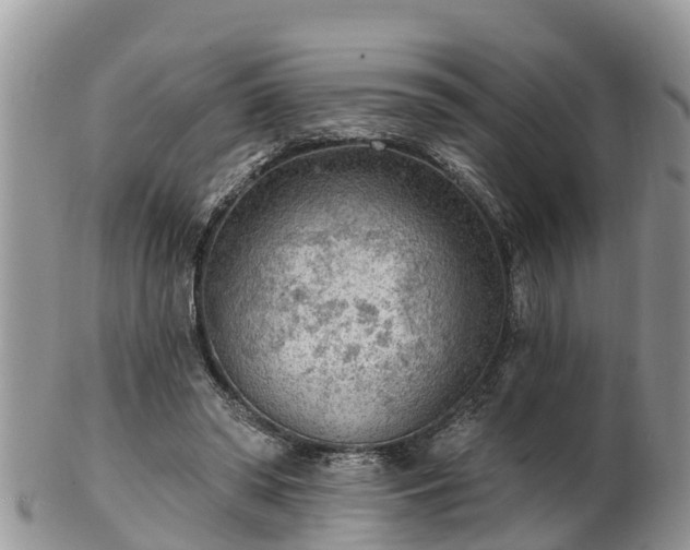 X0000102280398200808011455