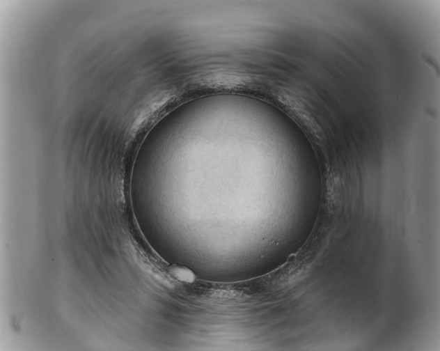 X0000102280399200808011455